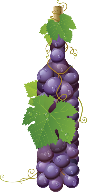 Winebottle out of Grapes PNG