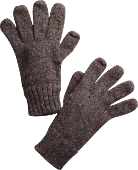 Winter Gloves PNG