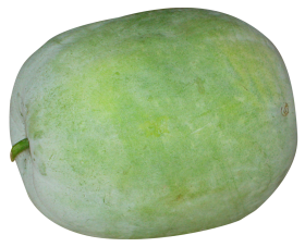 Winter Melon PNG