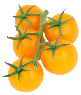 Yellow Tomato PNG
