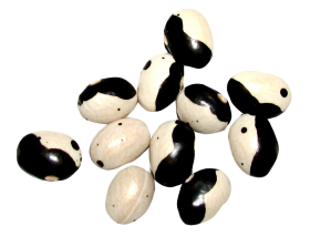 Yin Yang Beans PNG