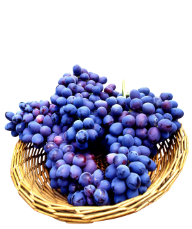 Seedless Grapes in basket PNG