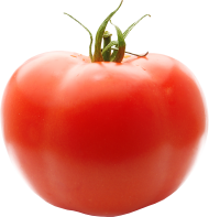 tomato PNG
