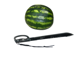Watermelon with Sword PNG