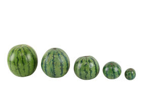 Watermelons PNG