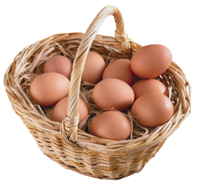 Free transparent Scrambled egg PNG images Download, PurePNG