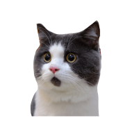 Banye Surprised Cat PNG