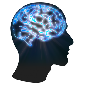 Brain Education Help  Idea  Knowledge  Mind