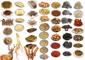 Chinese Food Ingredients
