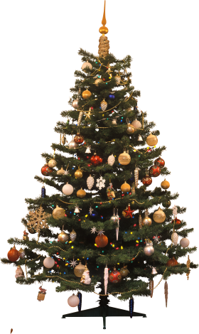 Christmas Tree Traditional