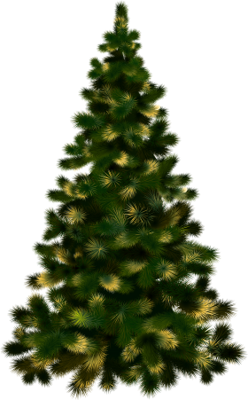 Christmas Tree without Lights
