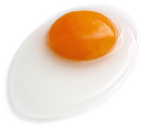 Half Fried Egg