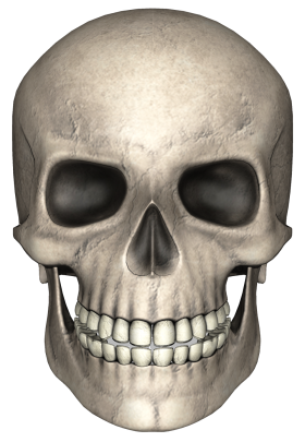 Head Skull