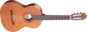 Acoustic Classic Guitar