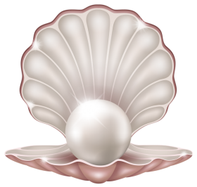 Beautiful Clam WIth Pearl