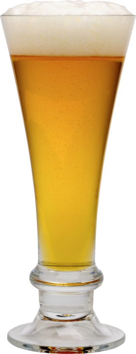 Beer in Glass