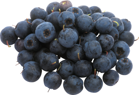 Blueberrys