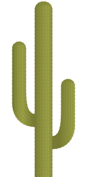 Cactus Plant Vector