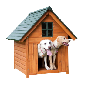 Dog House