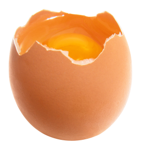 Eggs PNG Image - PurePNG  Free transparent CC0 PNG Image Library