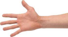 Four Finger Hand