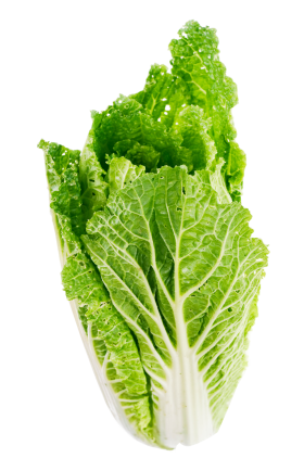 Lettuce Leaf