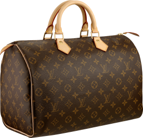 Louis Vuitton Women bag