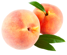 Peach Fruits with leaf