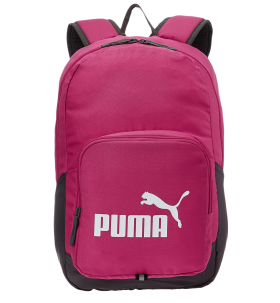 Puma Travel Bag