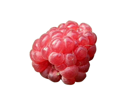 Raspberrie