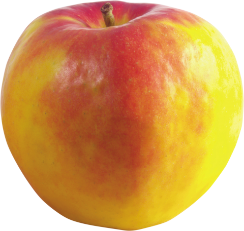 Red and yellow Apple