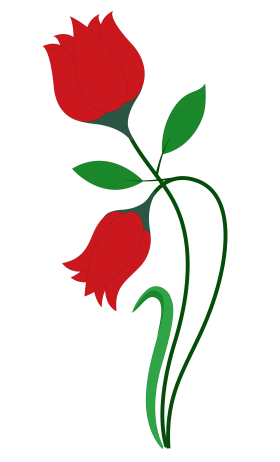 Rose Flower Vector