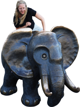 Sitting Elephant