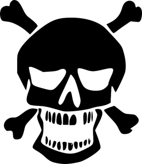 Skeleton, Skull