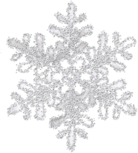 Snowflake Winter Christmas