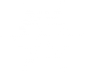 Snowy Snowflake