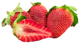 Strawberries  with leaf  and Sliced