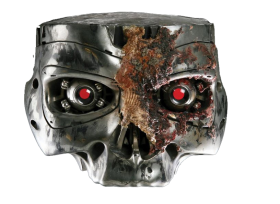 Terminator Skull / Head