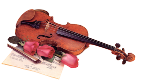 Violin & Bow