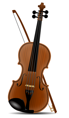 Violin  & Bow