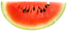 Watermelon Slice