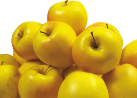 Yellow Apple’s