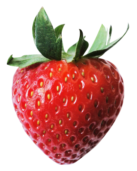Red Juicy Strawberry