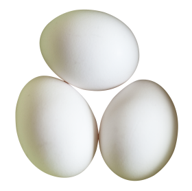 Three White Eggs