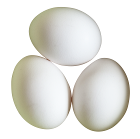 Egg, HD Png Download - vhv